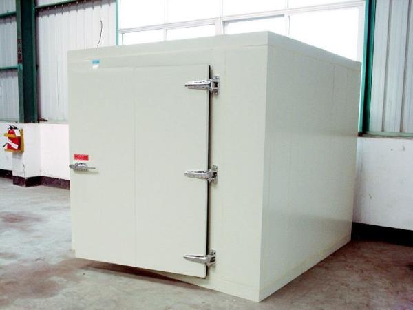Alimento congelado de aço inoxidável da sala de armazenamento frio de -20℃ com porta de balanço
