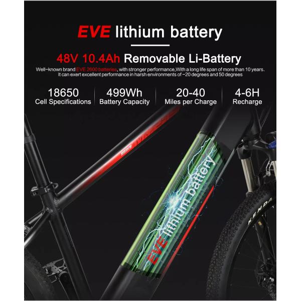 48V 10Ah Lithium Battery Fat Tire Electric City Bicycle Mountain E Bike