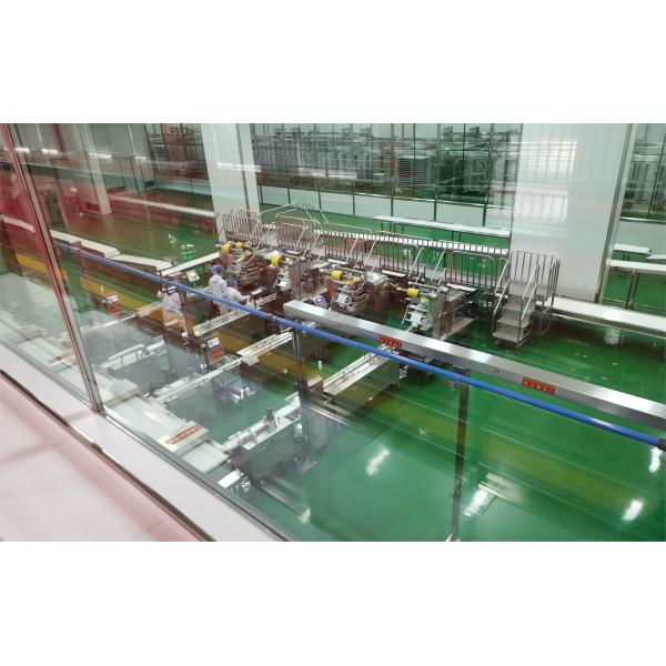 Food Packaging Line: Case Packing & Palletizing System