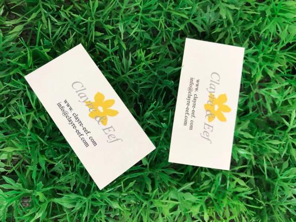 A etiqueta autoadesiva feito-à-medida etiqueta o papel do PVC do ANIMAL DE ESTIMAÇÃO Eco material amigável