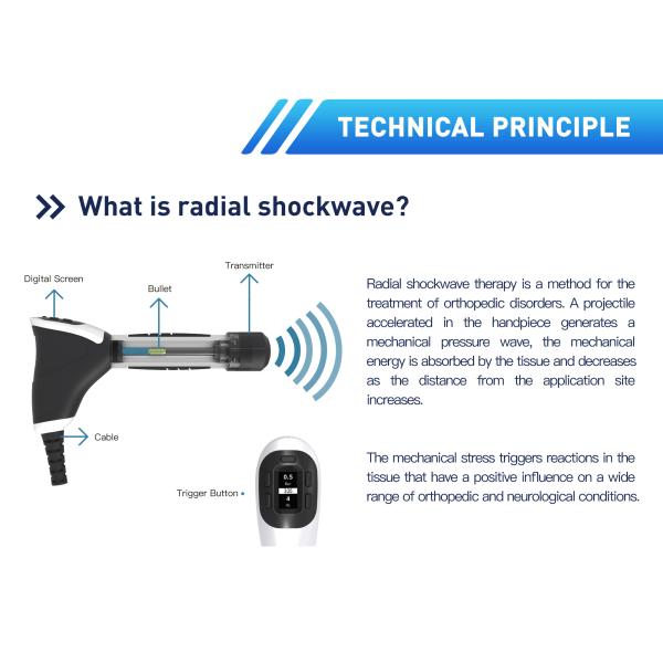 3 in 1 Shockwave Ultrasound Electrotherapy Physiotherapy Shockwave Therapy Machine