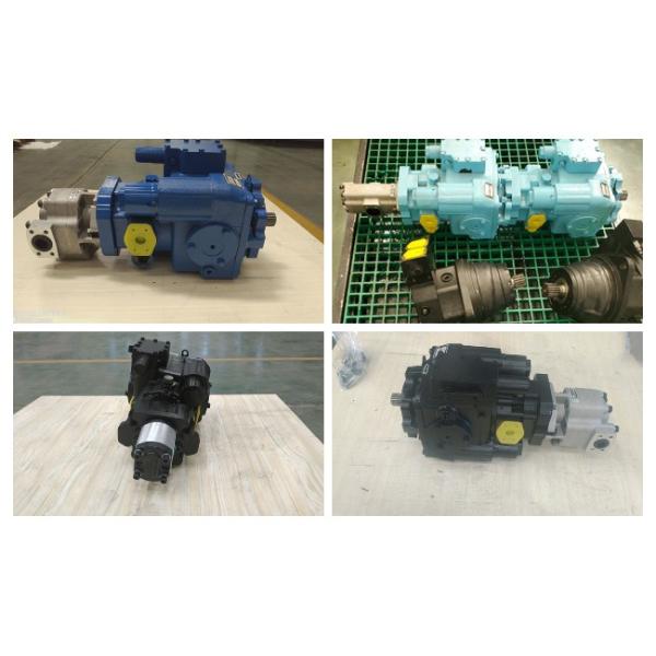 High Performance Agricultural Hydraulic Pumps For Grape Machinery