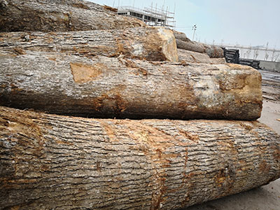 Lonson Veneer Co.,Ltd