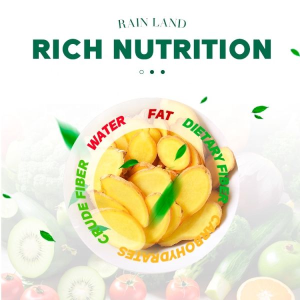 China Supplier 20kg Farm Planting Ginger Fresh Ginger Export