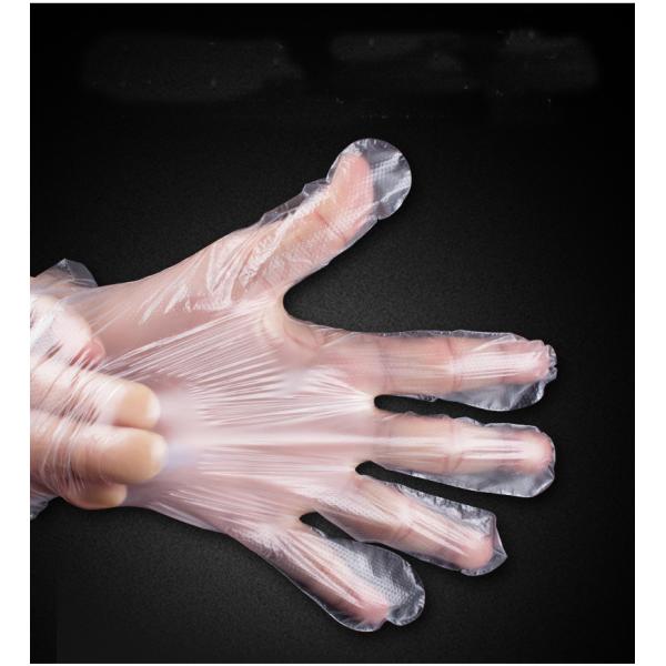 Non Sterile Polyethylene Disposable Gloves Disposable PE Gloves For Food