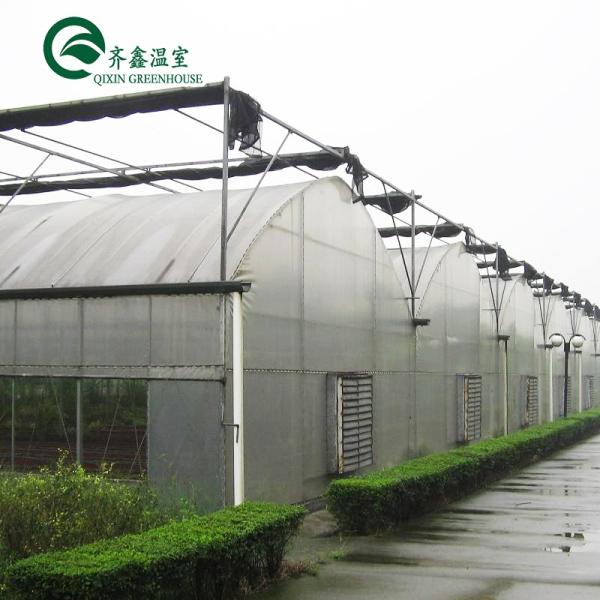 Large Steel Greenhouse Structure Shed Design With 150/200micro PE Film Covering