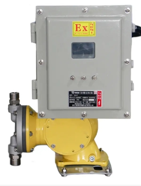 Digital Plunger / Hydraulic Diaphragm Metering Pump