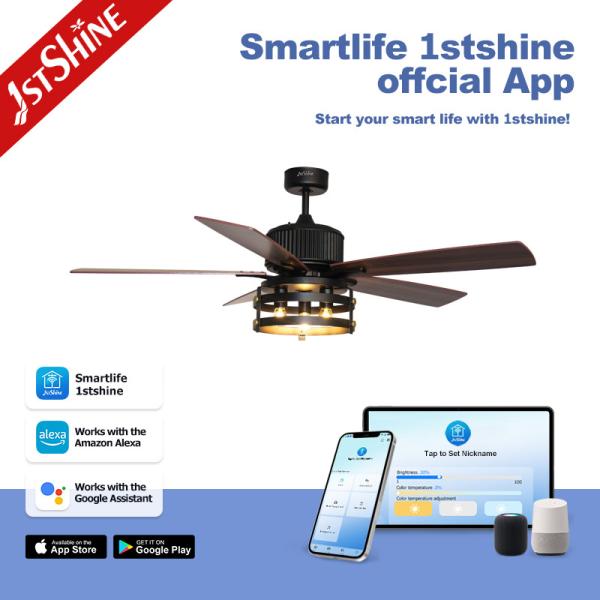 2022 Classic Ceiling Fan with Remote Control and Fancy Light Support Dimmer