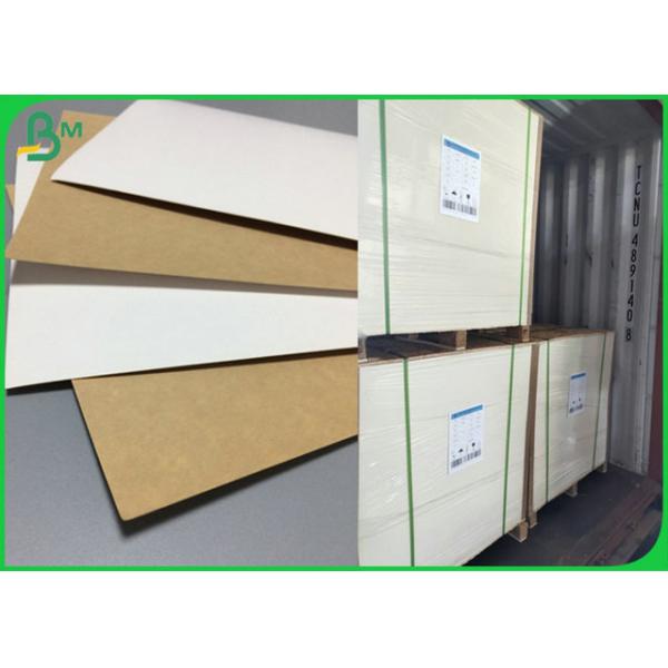 200gram to 365gram 1 side White Kraft Liner coated Board 31inch 35inch