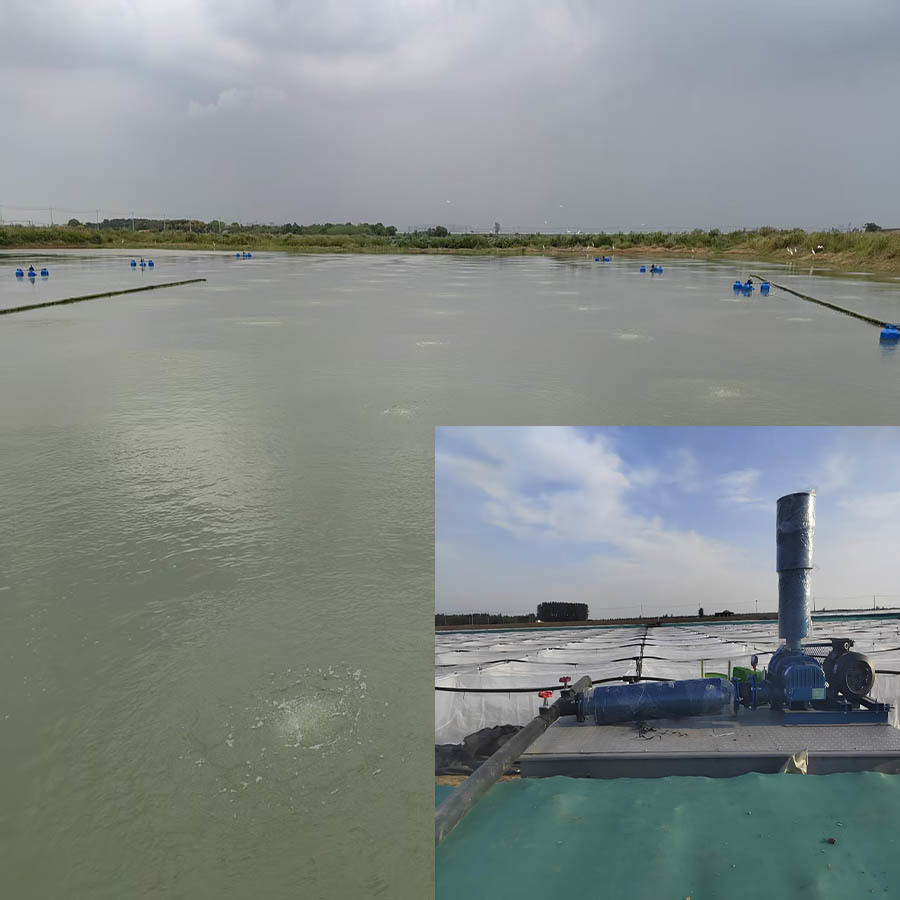 Water Wheel Pond Aerator Microporous for Shrimp Aquaculture Aeration Oxygen