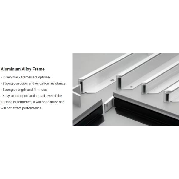N-Type TOPCon Technology Monocrystalline Module with Double Glass and Bifacial Design