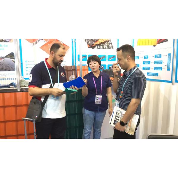 Lucarne en plastique transparente de serre chaude de polycarbonate de tuiles de toit de PVC