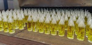 Chongqing Jewhui Glass Packaging Co., Ltd.