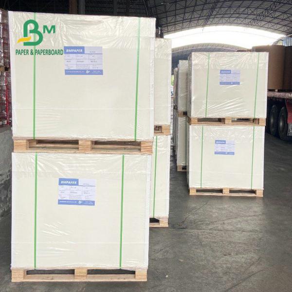 One Side Coated Freezer Paper Roll 275gsm 325gsm For Packing Food