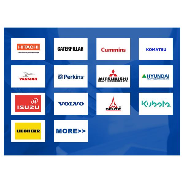 3306 3304 Pièces de moteur de pelleteuse 8N3182 9N5250 8N3102