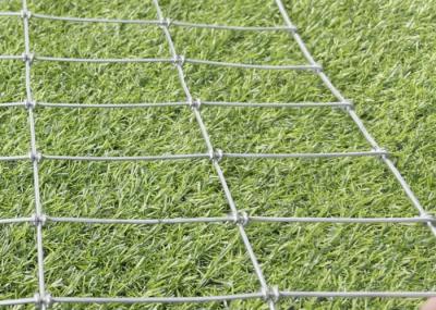 High Tensile Fixed Knot Woven Wire Mesh Horse Fence 1.8mm-3.0mm Wire Diameter Galvanized