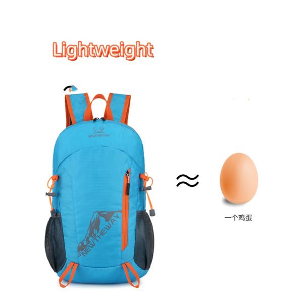 Custom Logo Nylon Sports Gym Bags Collapsible Lightweight Waterproof Outgoing Backpack