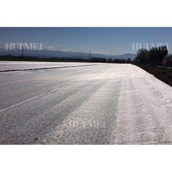 Дружелюбное ткани ландшафта полипропилена заводов не сплетенное экологическое