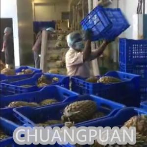Fully Automatic PLC Control Pineapple Processing Line For Pineapple Juice Jam