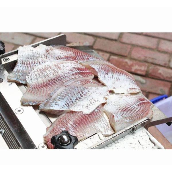 Stainless Steel Tilapia Fish Processing Machine Gutting Killing Gutting Cleaning