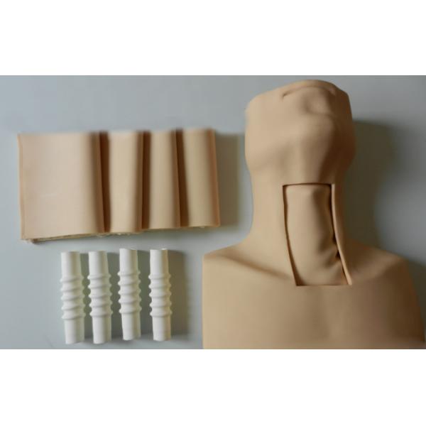 Medical Emergency Training Advanced Tracheostomy Simulator On CPR Model
