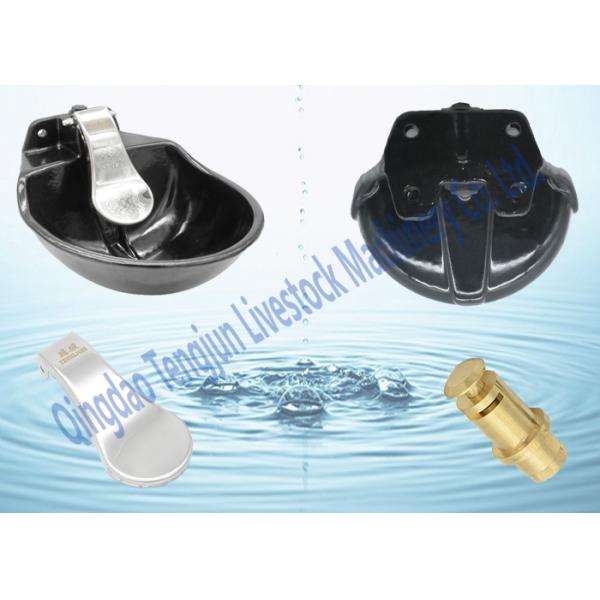 Dairy Cattle Horse Animal Automatic Waterer 4 Hole Design Energy Free