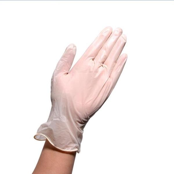 Powdered / Powder Free Clear Vinyl Glove , Latex Free Vinyl Gloves Odorless