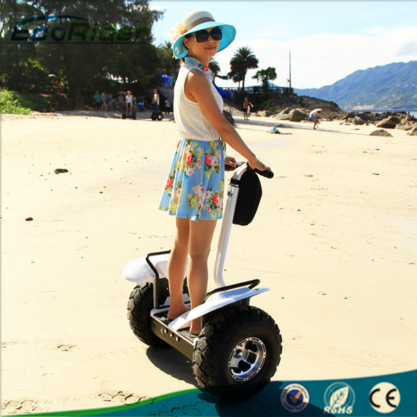 Electric Gyropode Off Road Segway Personal Transportation Vehicles 72V 8.8Ah Samsung Lithium