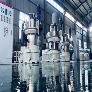 High Efficiency Ring Die Wood Pellet Mill for Biomass Fuel with Heavy-Duty Construction and User-Friendly Design