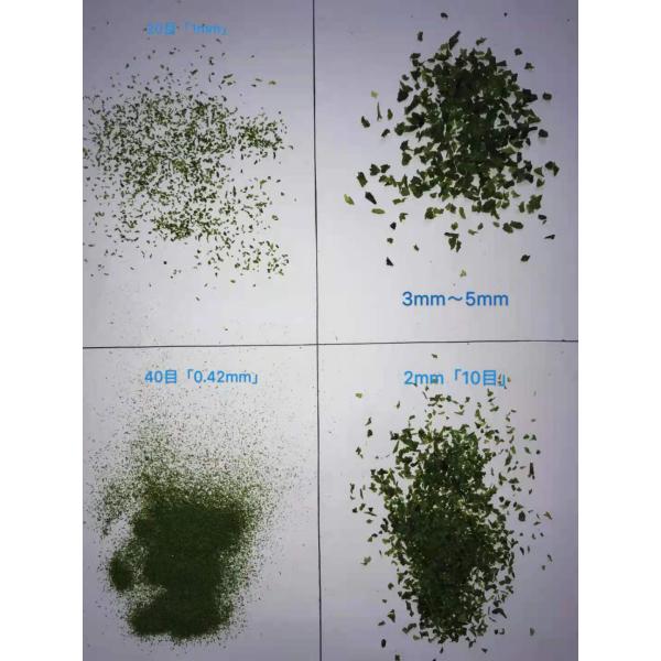 Hot Dried Aosa Seaweed Aonori Flakes