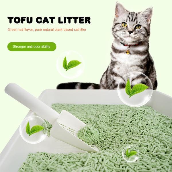 Litière pour chat jetable à prix bas du fabricant - Ingrédients de qualité alimentaire - Litière pour chat sans poussière - Absorption supérieure - Non collante - Litière pour chat en tofu biodégradable avec charbon actif - Sans parfum