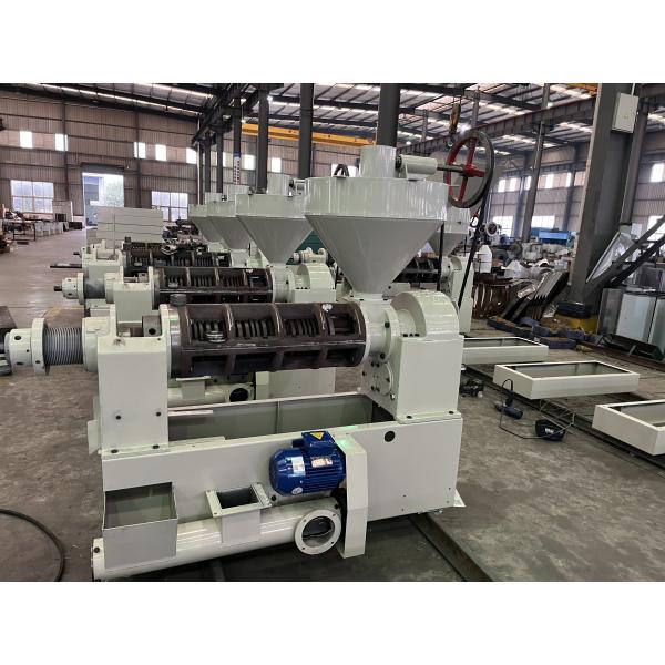 Industrial Cold Press Extraction Oil Machine For Soybean Sesame Oil Edible Oil Line