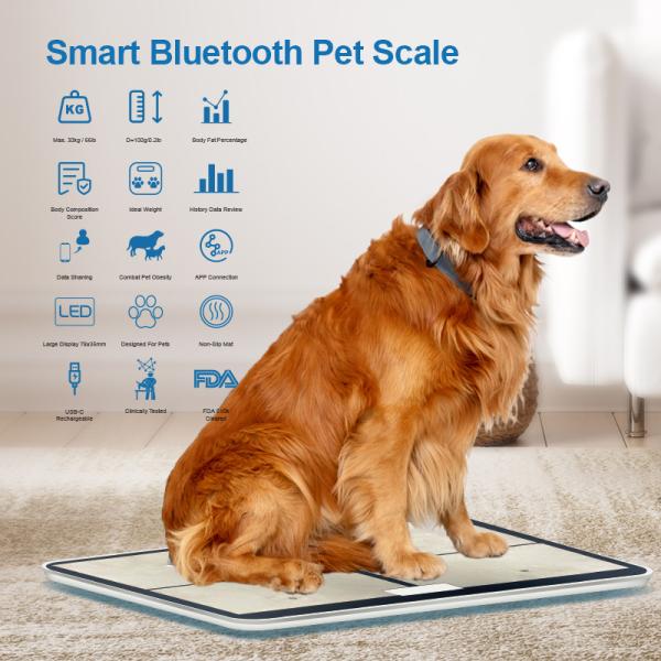 Balance numérique pour animaux de compagnie, pèse-personne numérique pour animaux de compagnie, recommandation de poids maximum 30 kg, balance de santé pour chats et chiens