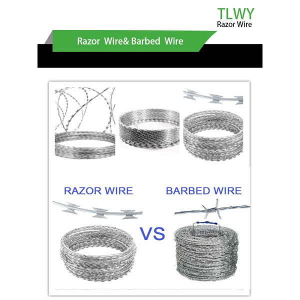 1.5mmx1.5mm Diamond Welded Razor Wire Mesh Electro Galvanized