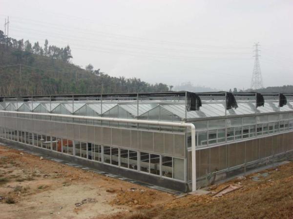 Sound Insulation PC Rigid Plastic Sheets Greenhouse Grade B1 Retardant Standard For Aquaponics
