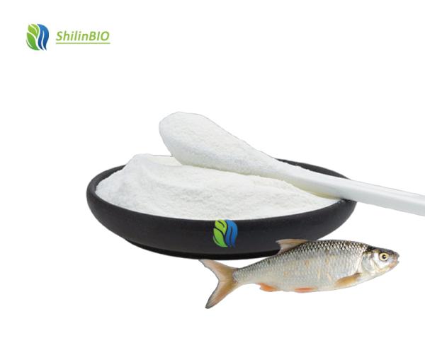 Pure 99% Fish Collagen Powder