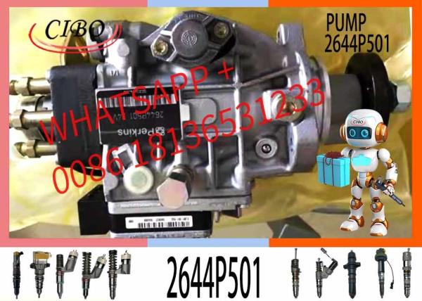 924G Loader Injection Pump 2644P501 0470006003 216-9824 24V Fuel Injection Pump