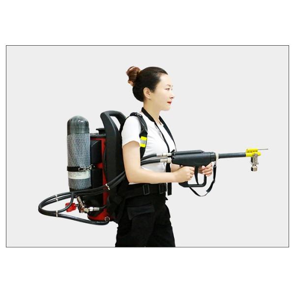 12L Водяной туман рюкзак Огнетушитель пистолет с 30Mpa рабочее давление воздуха