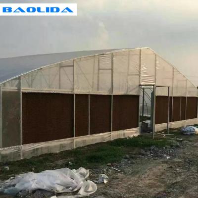 A estufa do filme de polietileno da planta dos vegetais com o sistema de refrigeração fácil instala