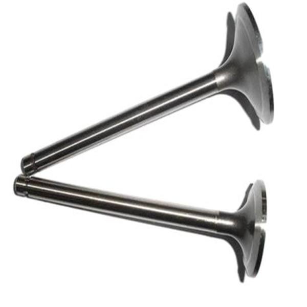 Auto Spare Parts  2408000300800-c Intake & Exhaust Valve Exhaust Engine Intake Valve for QC480