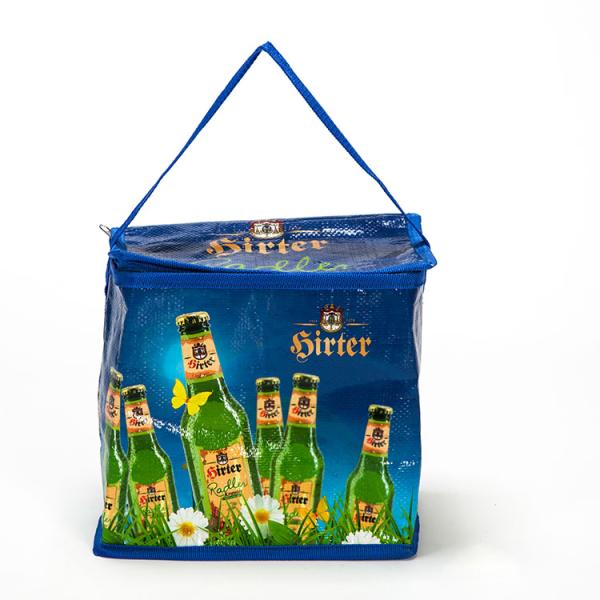 Portable 6 Pack Soft Sided Coolers , PP Woven Beer Cooler Bag For Shopping