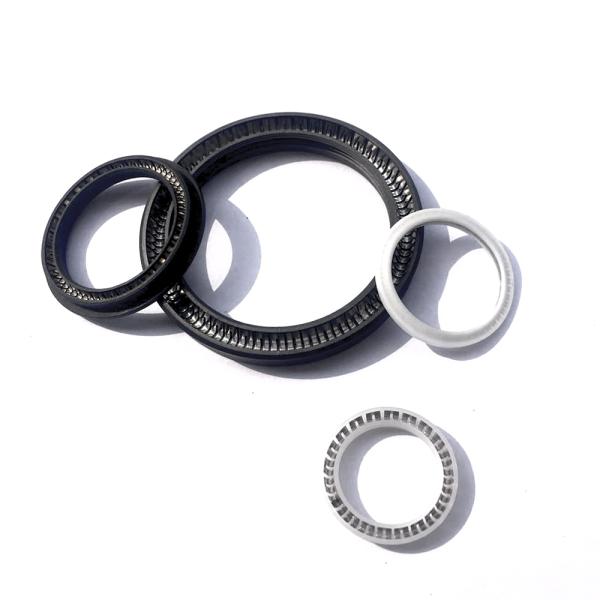 Abrasion Resistant Spring Energized Ptfe Seal Low Friction Rubber Seal Ring ISO9001