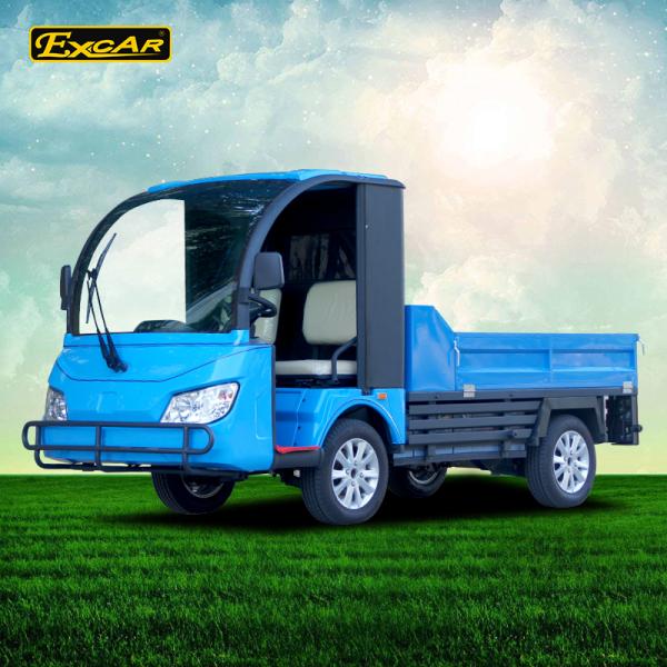 Blue Color Two Seater Electric Utility Car With 7.5KW 48V Trojan Battery