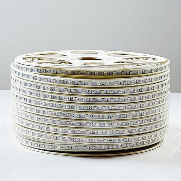 Luminous Flux 800LM/M RGB LED Flexible Strip Light Voltage DC110V/V220 with