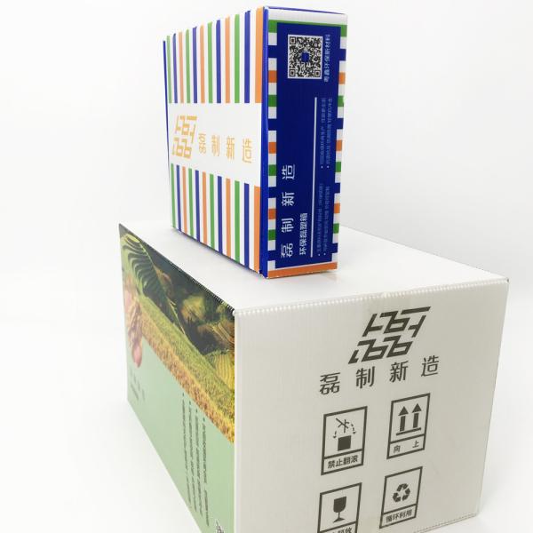 Foldable Corrugated Plastic Storage Boxes For Grain Agricultural Product
