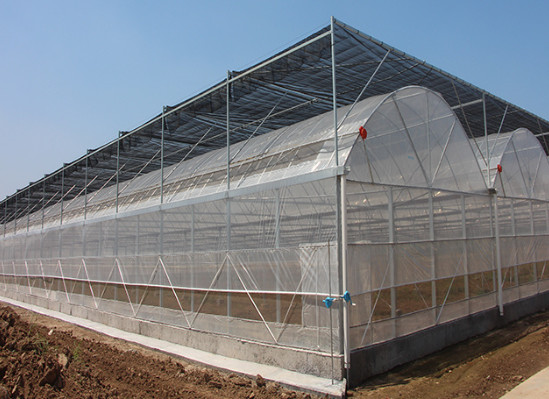 Poly Tech Plastic Film Greenhouse Shading Rate 20%-90%
