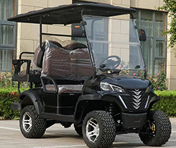 2850*1250*1850 Grade Ability 20-25° CE Luxury Bus DOT Vintage Car Eec 2 Seater Go Kart