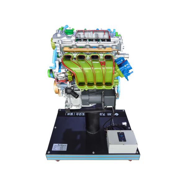 Conseil de formation en anatomie du moteur Stand d'affichage Équipement pédagogique