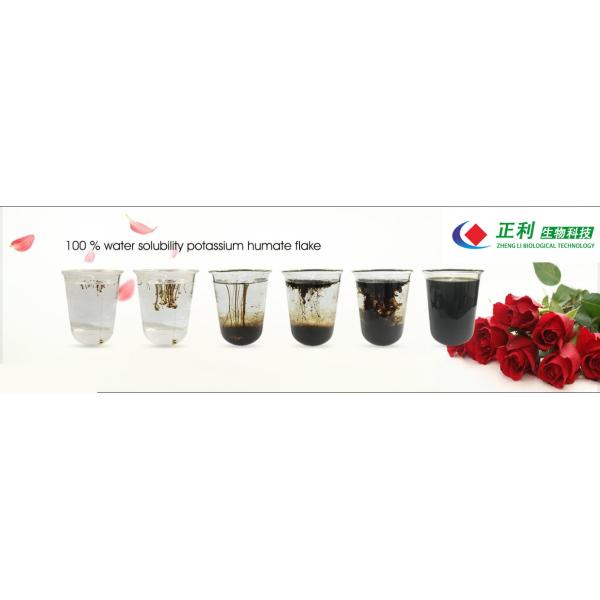 Super Grow Fertilizer Potassium Humic Foliar Drip Fertilizer 100% Soluble Leonardite Flake
