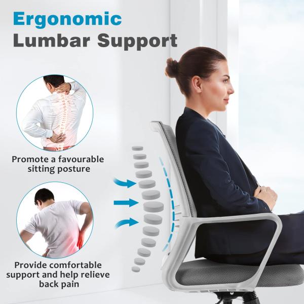 Ergonomic Home Office Chair Customized Color Swivel Chair with Lumbar Support and Armrests